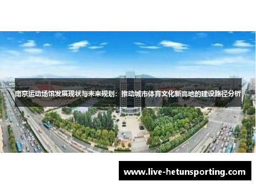 南京运动场馆发展现状与未来规划：推动城市体育文化新高地的建设路径分析