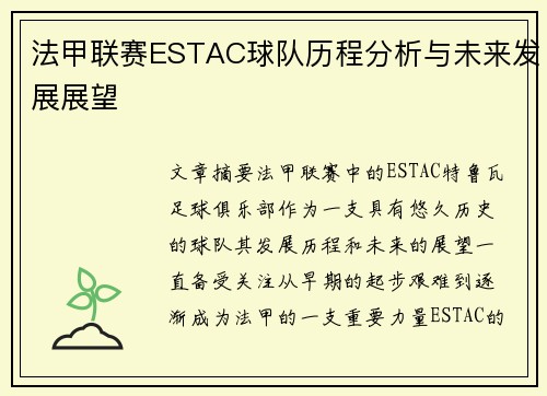 法甲联赛ESTAC球队历程分析与未来发展展望