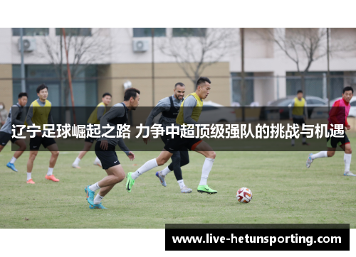 辽宁足球崛起之路 力争中超顶级强队的挑战与机遇